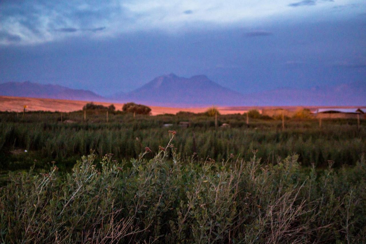 Villa Sol Del Desierto Chiuchiu Esterno foto